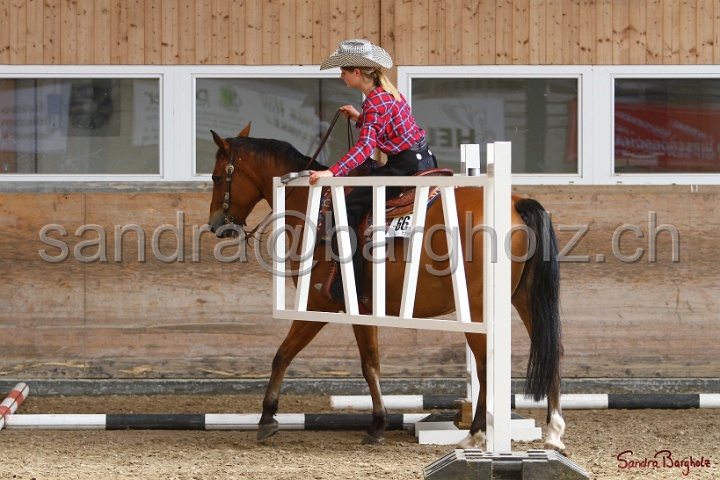 26-ApHC GT_054.jpg